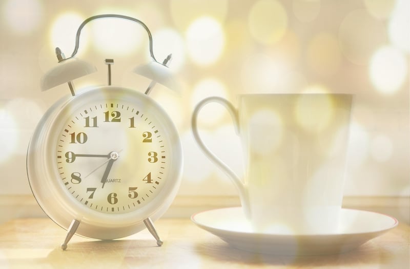 Time Loop Escapades